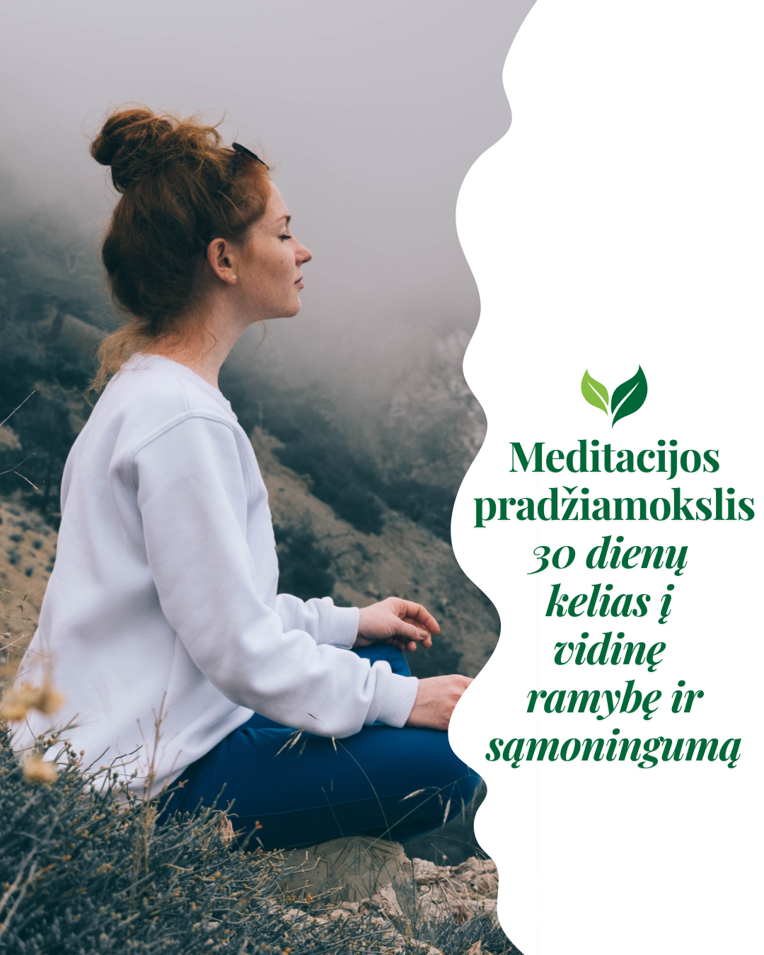 Meditacijos pradžiamokslis: 30 dienų kelias į vidinę ramybę ir sąmoningumą