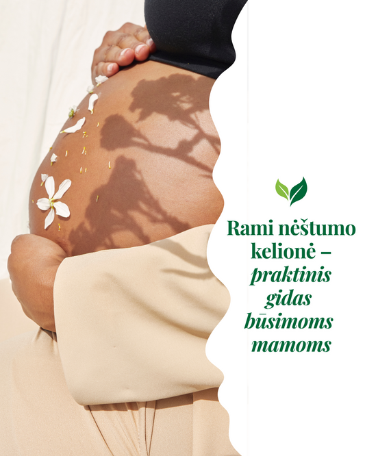 Rami nėštumo kelionė – praktinis gidas būsimosioms mamoms